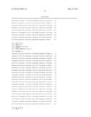 GLYCATED HEXAPEPTIDE OXIDASE AND USE THEREOF diagram and image