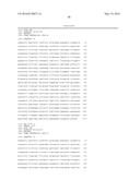 GLYCATED HEXAPEPTIDE OXIDASE AND USE THEREOF diagram and image