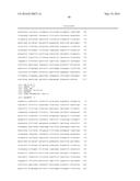 GLYCATED HEXAPEPTIDE OXIDASE AND USE THEREOF diagram and image