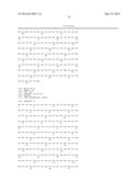 GLYCATED HEXAPEPTIDE OXIDASE AND USE THEREOF diagram and image