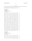 GLYCATED HEXAPEPTIDE OXIDASE AND USE THEREOF diagram and image