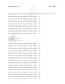 GLYCATED HEXAPEPTIDE OXIDASE AND USE THEREOF diagram and image