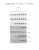 Mapping Cytosine Modifications diagram and image