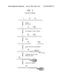 Mapping Cytosine Modifications diagram and image