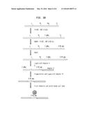 Mapping Cytosine Modifications diagram and image