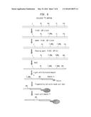 Mapping Cytosine Modifications diagram and image