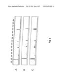 METHODS FOR ANALYSIS OF GENE EXPRESSION diagram and image