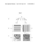 METHODS AND SYSTEMS FOR DETERMINING SPATIAL PATTERNS OF BIOLOGICAL TARGETS     IN A SAMPLE diagram and image