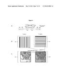 METHODS AND SYSTEMS FOR DETERMINING SPATIAL PATTERNS OF BIOLOGICAL TARGETS     IN A SAMPLE diagram and image