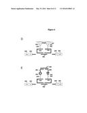 METHODS AND SYSTEMS FOR DETERMINING SPATIAL PATTERNS OF BIOLOGICAL TARGETS     IN A SAMPLE diagram and image