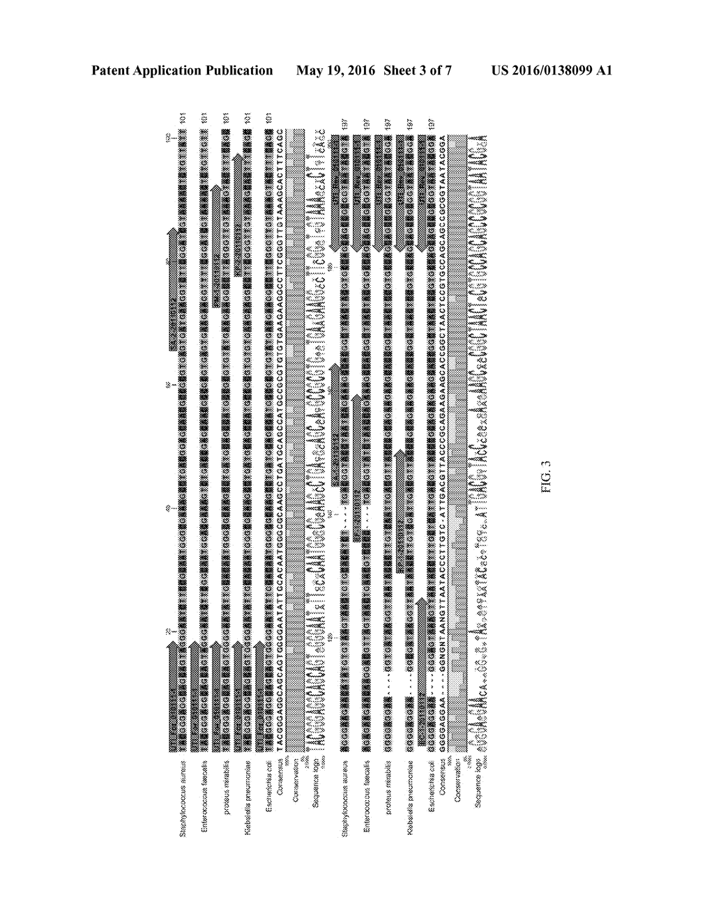 QUANTITATIVE MULTIPLEXED IDENTIFICATION OF NUCLEIC ACID TARGETS - diagram, schematic, and image 04