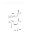 METHOD OF DETERMINING THE NUCLEOTIDE SEQUENCE OF OLIGONUCLEOTIDES AND DNA     MOLECULES diagram and image