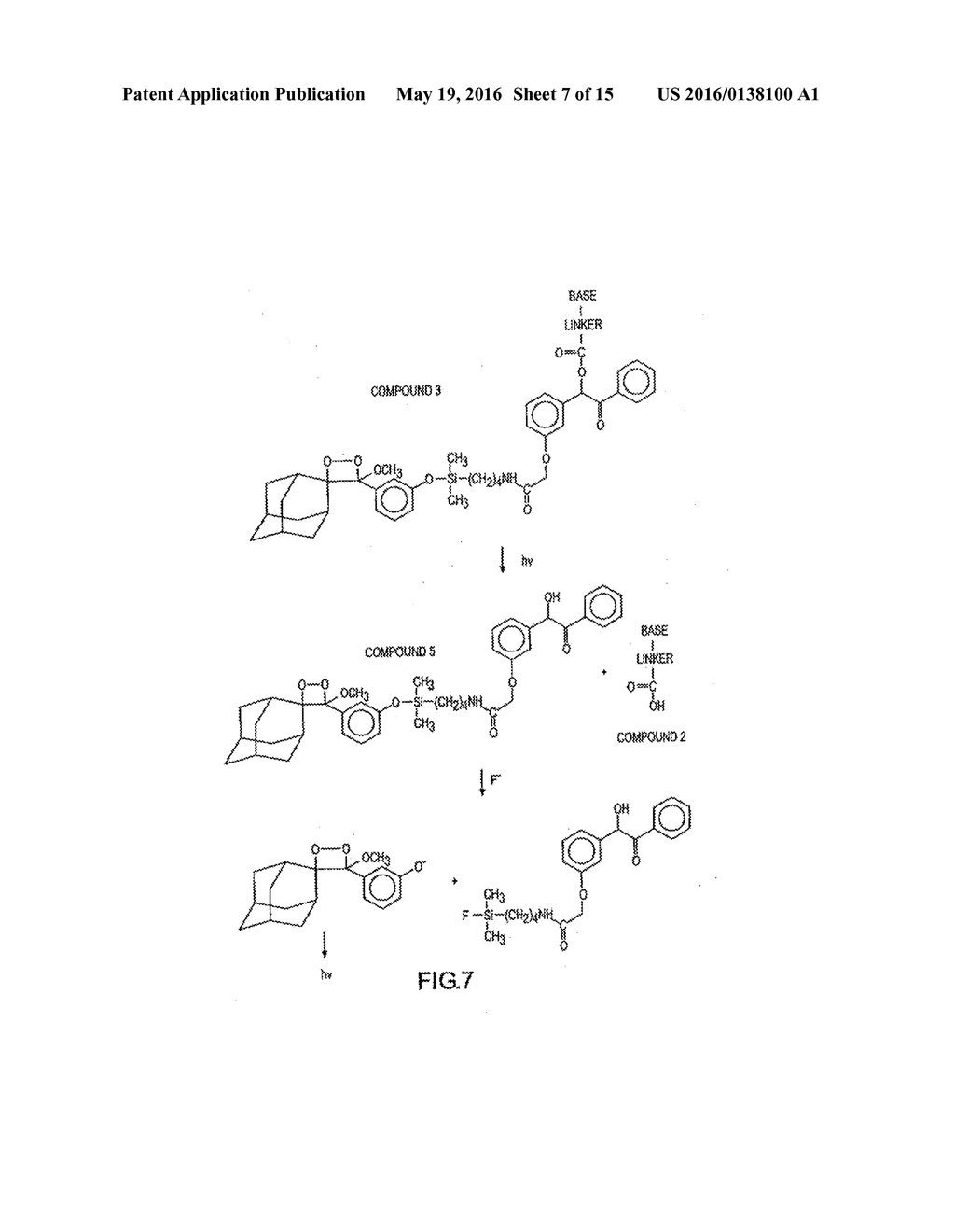 METHOD OF DETERMINING THE NUCLEOTIDE SEQUENCE OF OLIGONUCLEOTIDES AND DNA     MOLECULES - diagram, schematic, and image 08