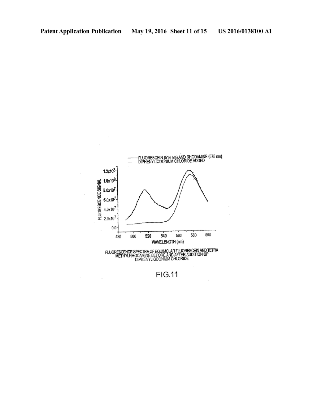 METHOD OF DETERMINING THE NUCLEOTIDE SEQUENCE OF OLIGONUCLEOTIDES AND DNA     MOLECULES - diagram, schematic, and image 12