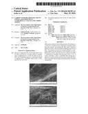 CARBON NANOTUBE FIBERS/FILAMENTS FORMULATED FROM METAL NANOPARTICLE     CATALYST AND CARBON SOURCE diagram and image