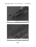 CARBON NANOTUBE FIBERS/FILAMENTS FORMULATED FROM METAL NANOPARTICLE     CATALYST AND CARBON SOURCE diagram and image