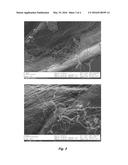 CARBON NANOTUBE FIBERS/FILAMENTS FORMULATED FROM METAL NANOPARTICLE     CATALYST AND CARBON SOURCE diagram and image