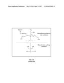 SYSTEMS AND METHODS FOR COLLISION COMPUTING FOR DETECTION AND NONINVASIVE     MEASUREMENT OF BLOOD GLUCOSE AND OTHER SUBSTANCES AND EVENTS diagram and image