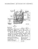 SYSTEMS AND METHODS FOR SYNTHESIS OF ZYOTONS FOR USE IN COLLISION     COMPUTING FOR NONINVASIVE BLOOD GLUCOSE AND OTHER MEASUREMENTS diagram and image