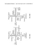 SYSTEMS AND METHODS FOR SYNTHESIS OF ZYOTONS FOR USE IN COLLISION     COMPUTING FOR NONINVASIVE BLOOD GLUCOSE AND OTHER MEASUREMENTS diagram and image