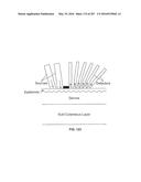 SYSTEMS AND METHODS FOR SYNTHESIS OF ZYOTONS FOR USE IN COLLISION     COMPUTING FOR NONINVASIVE BLOOD GLUCOSE AND OTHER MEASUREMENTS diagram and image