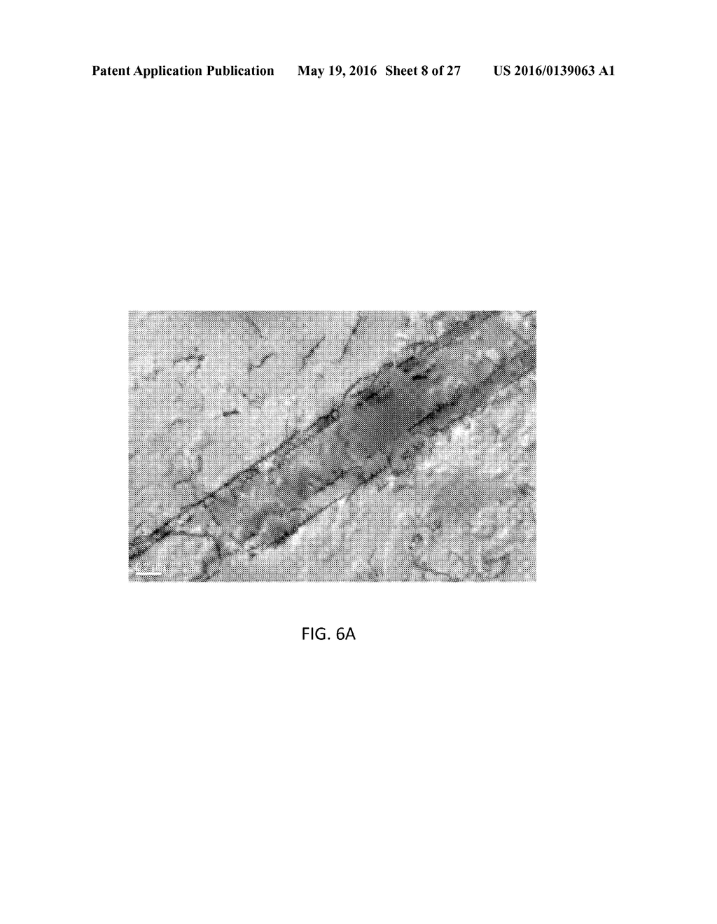 Strain Mapping in TEM Using Precession Electron Diffraction - diagram, schematic, and image 09