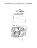 METHOD FOR THE PROGNOSIS AND TREATMENT OF CANCER METASTASIS diagram and image