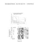 METHOD FOR THE PROGNOSIS AND TREATMENT OF CANCER METASTASIS diagram and image