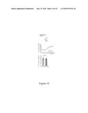 METHOD FOR THE PROGNOSIS AND TREATMENT OF CANCER METASTASIS diagram and image