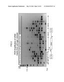 ONCOGENE ASSOCIATED WITH HUMAN CANCERS AND METHODS OF USE THEREOF diagram and image