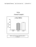 ONCOGENE ASSOCIATED WITH HUMAN CANCERS AND METHODS OF USE THEREOF diagram and image