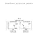 ONCOGENE ASSOCIATED WITH HUMAN CANCERS AND METHODS OF USE THEREOF diagram and image