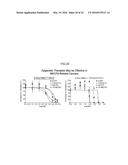 ONCOGENE ASSOCIATED WITH HUMAN CANCERS AND METHODS OF USE THEREOF diagram and image