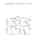 ONCOGENE ASSOCIATED WITH HUMAN CANCERS AND METHODS OF USE THEREOF diagram and image