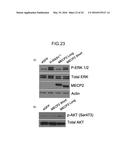 ONCOGENE ASSOCIATED WITH HUMAN CANCERS AND METHODS OF USE THEREOF diagram and image