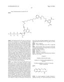 DESIGN, SYNTHESIS AND USE OF SYNTHETIC NUCLEOTIDES COMPRISING CHARGE MASS     TAGS diagram and image