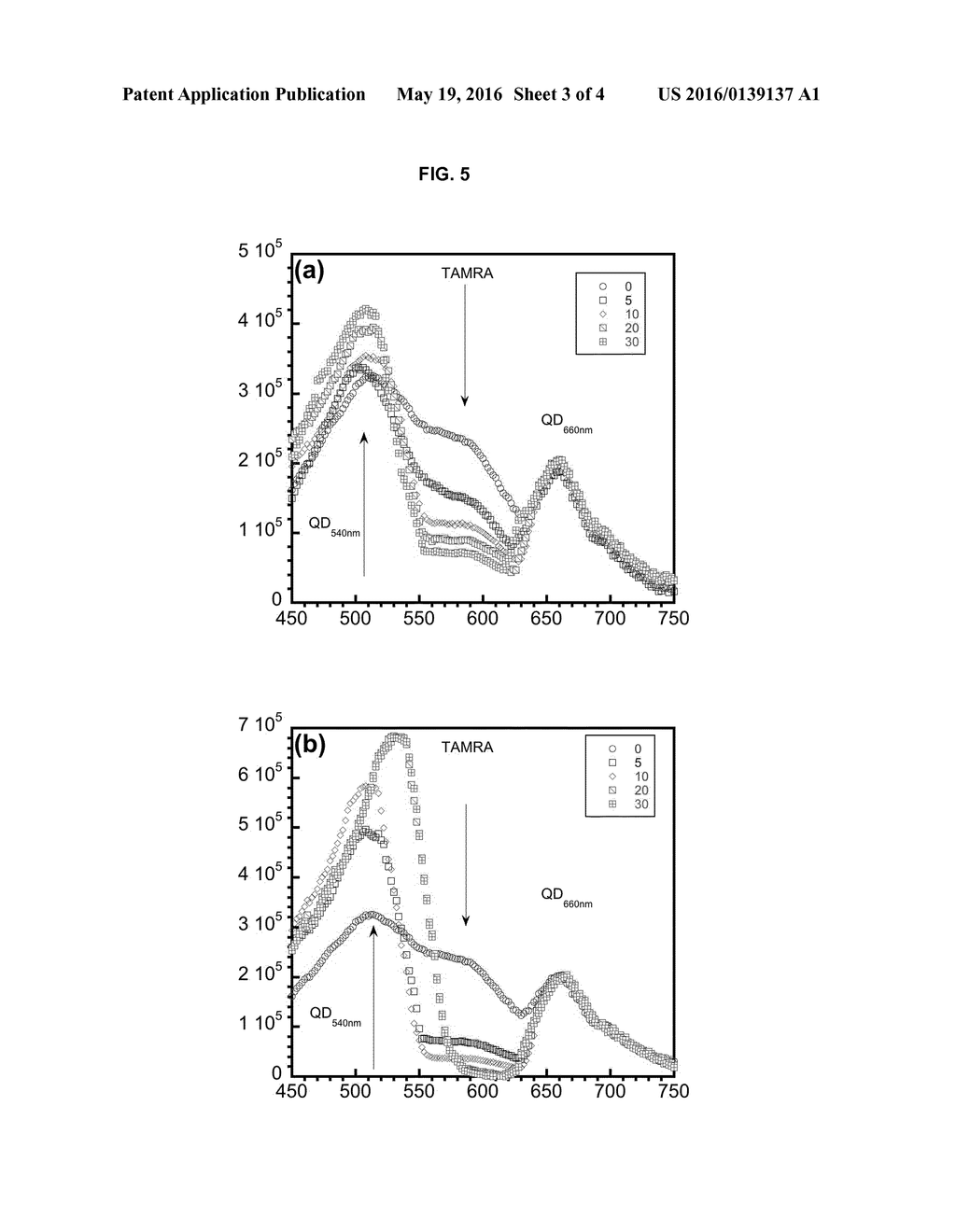 RATIOMETRIC ASSAY FOR HYDROLYTIC ENZYME QUANTIFICATION - diagram, schematic, and image 04