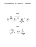 DETECTING TARGETS USING MASS TAGS AND MASS SPECTROMETRY diagram and image