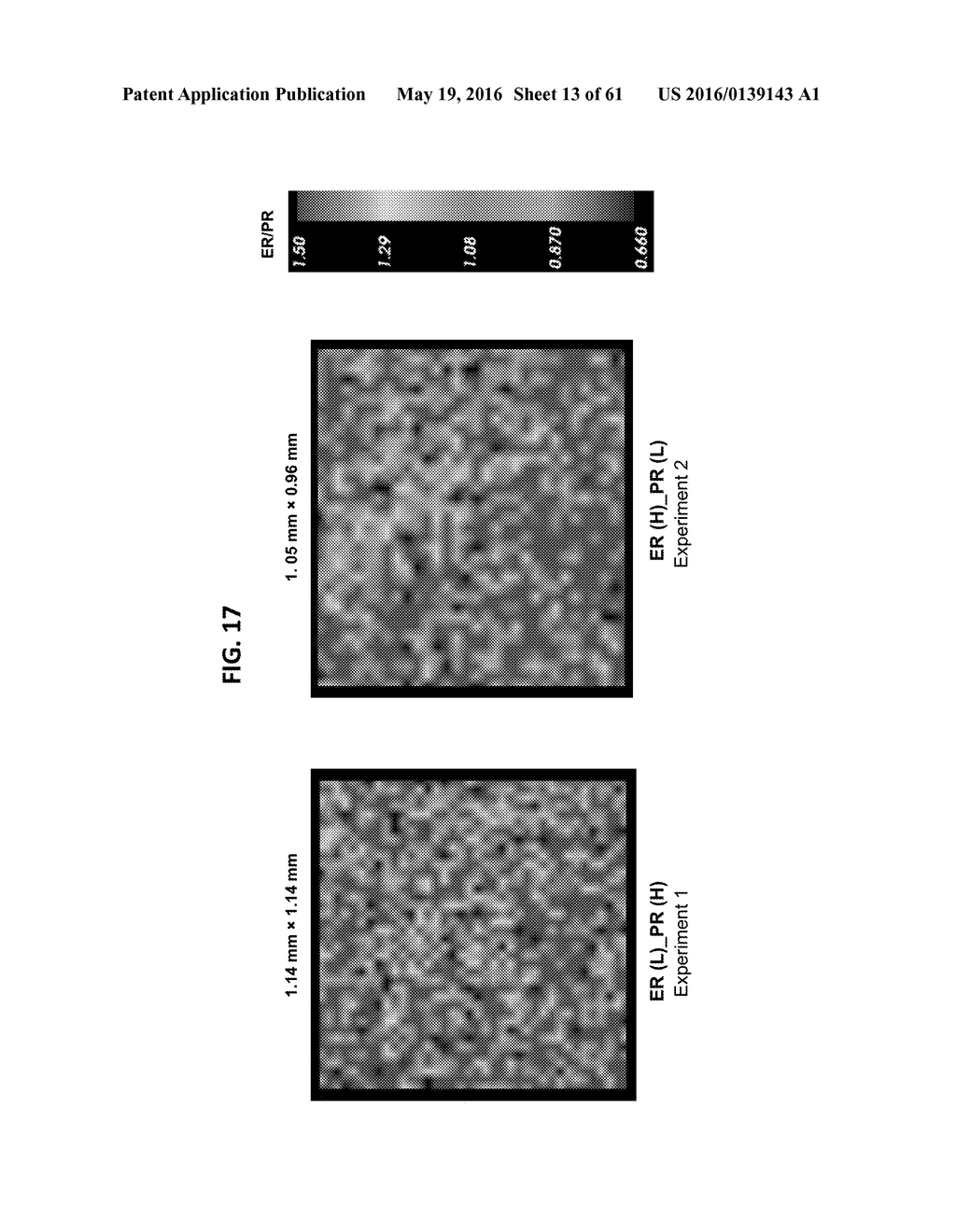 DETECTING TARGETS USING MASS TAGS AND MASS SPECTROMETRY - diagram, schematic, and image 14