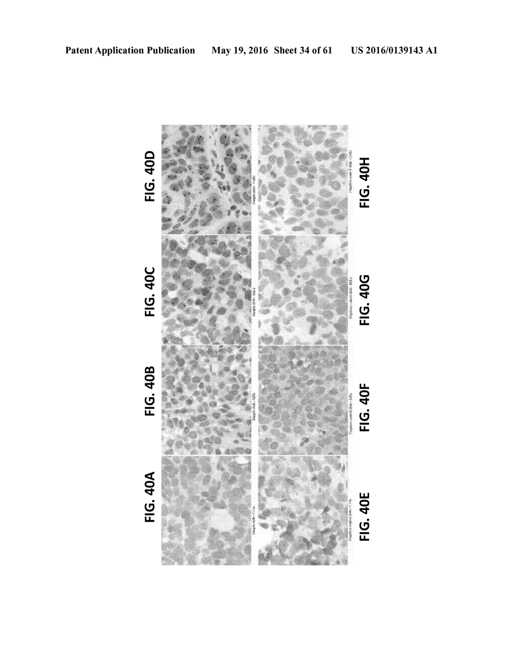 DETECTING TARGETS USING MASS TAGS AND MASS SPECTROMETRY - diagram, schematic, and image 35