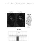 DETECTING TARGETS USING MASS TAGS AND MASS SPECTROMETRY diagram and image