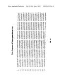 ASSAYS FOR DETECTION OF PHENYLALANINE AMMONIA-LYASE AND ANTIBODIES TO     PHENYLALANINE AMMONIA-LYASE diagram and image