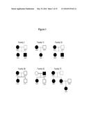 GI PROTEIN PHOSPHORYLATION AS MARKER FOR SCOLIOSIS AND SCOLIOSIS     PROGRESSION, METHODS OF INCREASING GIPCR SIGNALING IN SCOLIOTIC SUBJECTS diagram and image