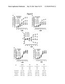 GI PROTEIN PHOSPHORYLATION AS MARKER FOR SCOLIOSIS AND SCOLIOSIS     PROGRESSION, METHODS OF INCREASING GIPCR SIGNALING IN SCOLIOTIC SUBJECTS diagram and image