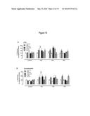 GI PROTEIN PHOSPHORYLATION AS MARKER FOR SCOLIOSIS AND SCOLIOSIS     PROGRESSION, METHODS OF INCREASING GIPCR SIGNALING IN SCOLIOTIC SUBJECTS diagram and image