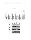 GI PROTEIN PHOSPHORYLATION AS MARKER FOR SCOLIOSIS AND SCOLIOSIS     PROGRESSION, METHODS OF INCREASING GIPCR SIGNALING IN SCOLIOTIC SUBJECTS diagram and image