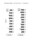 GI PROTEIN PHOSPHORYLATION AS MARKER FOR SCOLIOSIS AND SCOLIOSIS     PROGRESSION, METHODS OF INCREASING GIPCR SIGNALING IN SCOLIOTIC SUBJECTS diagram and image