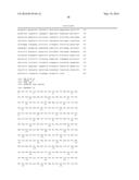 GI PROTEIN PHOSPHORYLATION AS MARKER FOR SCOLIOSIS AND SCOLIOSIS     PROGRESSION, METHODS OF INCREASING GIPCR SIGNALING IN SCOLIOTIC SUBJECTS diagram and image