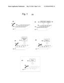 Formation of Antireflective Surfaces diagram and image