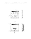 ADDITIVE PARTICLES FOR IMPROVING OPTICAL PERFORMANCE OF AN ELECTROPHORETIC     DISPLAY diagram and image